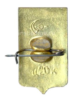 Значок Ростов