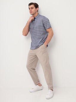 Джемпер мужской с воротником поло короткий рукав GREG G144-PD1246-LT3221(серый полоска)  фото 7