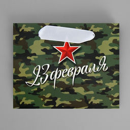 Цена за 3 шт. Пакет подарочный ламинированный, упаковка, С 23 февраля, S 15?12?5.5 см