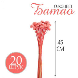 Сухоцвет Батао набор 20 шт., цвет красный