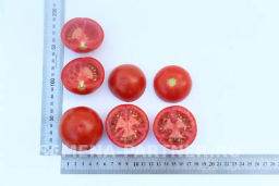 Томат Барух F1 - Партнер фото 7