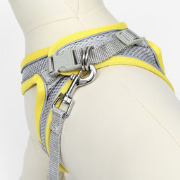 Комплект с мягкой шлейкой, размер XXS, поводок 150 х 1,5 см, ОГ 28-30 см,ОШ 24-26 см, жёлтый - Пижон фото 4