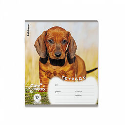 Цена за 10 шт. Тетрадь школьная ученическая ErichKrause Щенки, 12 листов, клетка (в плёнке по 10 шт.)_MIX-PACK  фото 3