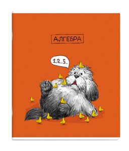 Тетрадь предметная арт. 63404/ 16 "ПЁС УЧЁНЫЙ" АЛГЕБРА