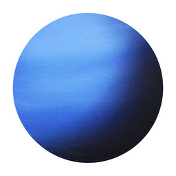 Раскопки "Нептун" в коробке