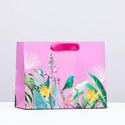 Пакет подарочный Колибри на лугу, 23 х 18 х 10 см