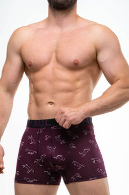 Мужские трусы-боксеры Kenn Paul