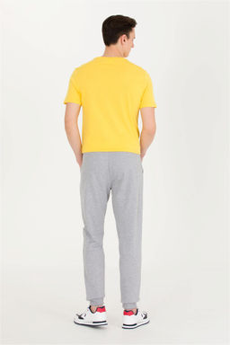 Мужские серые меланжевые спортивные штаны - U.s. polo assn фото 4