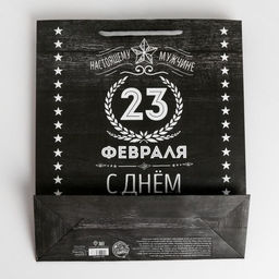 Цена за 2 шт. Пакет подарочный ламинированный, упаковка, С 23 февраля, ML 23?27?11.5 см