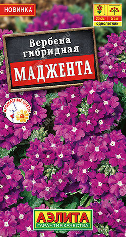 1313A Вербена Маджента 10шт