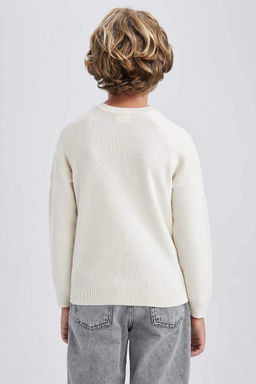 Хлопковый свитер с круглым вырезом для мальчика - Defacto фото 6