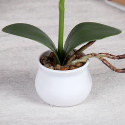 Цветочная композиция Орхидея 22 см / LM-796 /уп 12/144/ - ГалеонТрейд фото 6