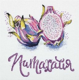 Набор для вышивания PANNA E-7087 Питахайя 20.5 х 21 см