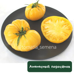 Ананасный поросенок - Tomatia фото 2