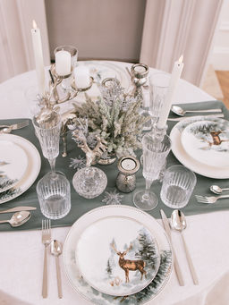 Тарелка новогодняя WY Зимний лес, 20.4?2.2 см, фарфор, белая