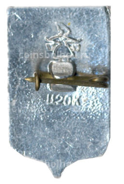 Значок Вологда