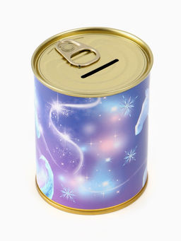 Цена за 2 шт. Копилка металлическая, 9.5 см×7.5 см×7.5 см «Зимняя принцесса»