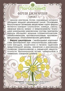 Ферула джунгарская (омик), (корень) - Мариславна фото 2