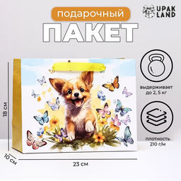 Цена за 2 шт. Пакет ламинированный горизонтальный Собачка, 23?18?10 см