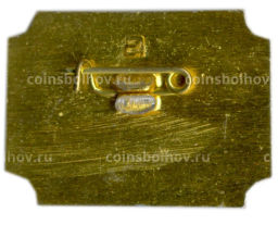 Значок Санкт-Петербург Дворец-музей А.Д.Меншикова