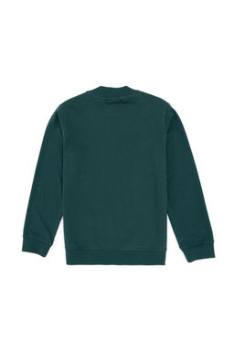 Темно-зеленый базовый свитшот для мальчика Неожиданная скидка в корзине - U.s. polo assn фото 2