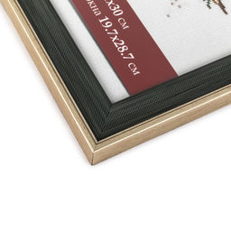 Рамка Gamma ПРК-23 21 х 30 см пластик. с оргстеклом зеленый