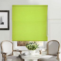 Рулонные шторы, Райли