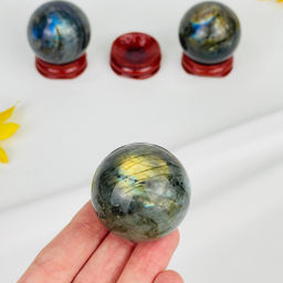 Шар из Лабрадора на подставке