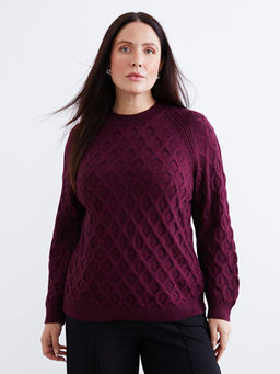 Bisiklet Yaka Kendinden Desenli Kad?n Triko Kazak