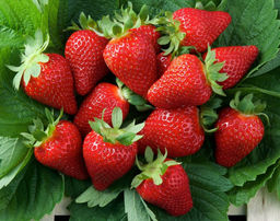 Клубника Мурано