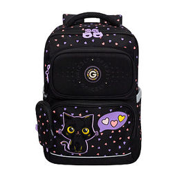 RAn-588-3 Рюкзак школьный с чехлом для мелочей
