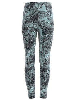 Легинсы 1ДРЛ2408804н