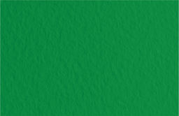 Fabriano Бумага для пастели Tiziano 160 г/м2 A1+ 70 х 100 см лист 10 л. Biliardo/Темно-зеленый 52811037