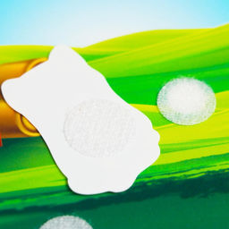 Развивающая игра на липучках «Изучаем мир домашних животных», методика Домана, с обучающими карточками по методике Глена Домана