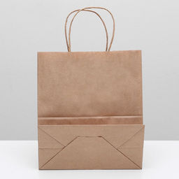 Пакет крафт без печати, круглая ручка 22 х 12 х 25 см, набор 20 шт.