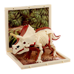 Набор для опытов Диномир: Трицератопс, строение тела динозавра, 33 детали - Эврики фото 6