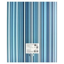 Портфолио универсальное арт.39282 ФАКТУРА ПОЛОСЫ - Феникс+ фото 8