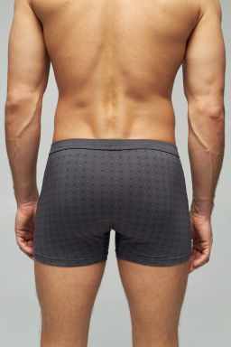 Трусы мужские боксеры Rogers 8638 модал, эластан размеры 3XL, 4XL, 5XL  фото 6