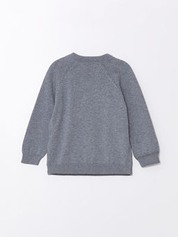 Bisiklet Yaka Uzun Kollu Triko Erkek Bebek Kazak - Waikiki фото 3