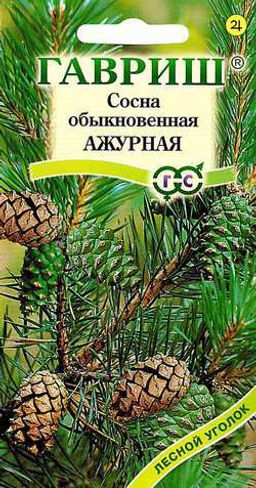 Сосна Ажурная обыкновенная 0,2гр (г)