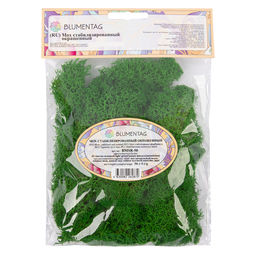 Blumentag BMSR-50 Мох стабилизированный окрашенный 50 г  5 г №01 салатовый  фото 9