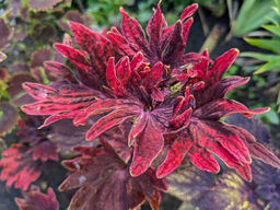 e75c2d20759a721c3236ea4ef91f67352flixtmkr3mfqmvjpv