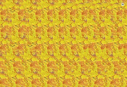 Самые лучшие стереокартинки