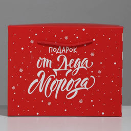 Цена за 2 шт. Пакет - коробка новогодний подарочный Подарок, 23?18?11 см