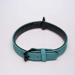 Ошейник с выносным кольцом Мона, 42 х 2 см, мятный