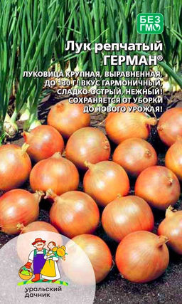 Лук репчатый ГЕРМАН  Крупная, выравненная луковица! Вкус гармоничный, сладко-острый, нежный! Хранится от уборки до нового урожая!