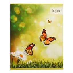 Набор тетрадей 36 листов в клетку, Calligrata «Бабочки», серые листы, 5 штук