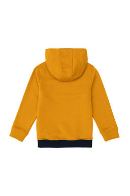 Толстовка горчичного цвета для мальчика Неожиданная скидка в корзине - U.s. polo assn фото 2