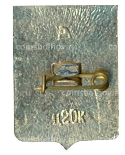 Значок Нежин