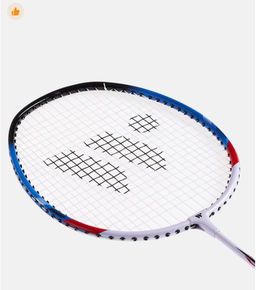 Набор для бадминтона WISH Alumtec 502 (2 ракетки+2 волана), синий/желтый